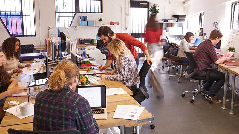 A busy open-plan office with multiple employees working at desks, collaborating over documents and laptops.