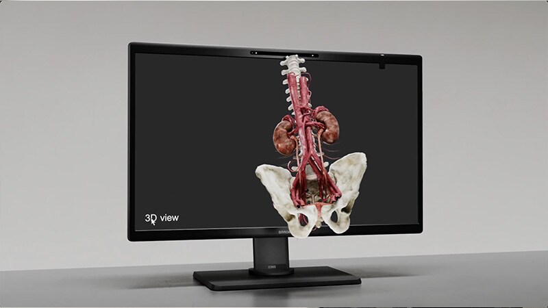 Video- BARCO Eonis 3D Display 