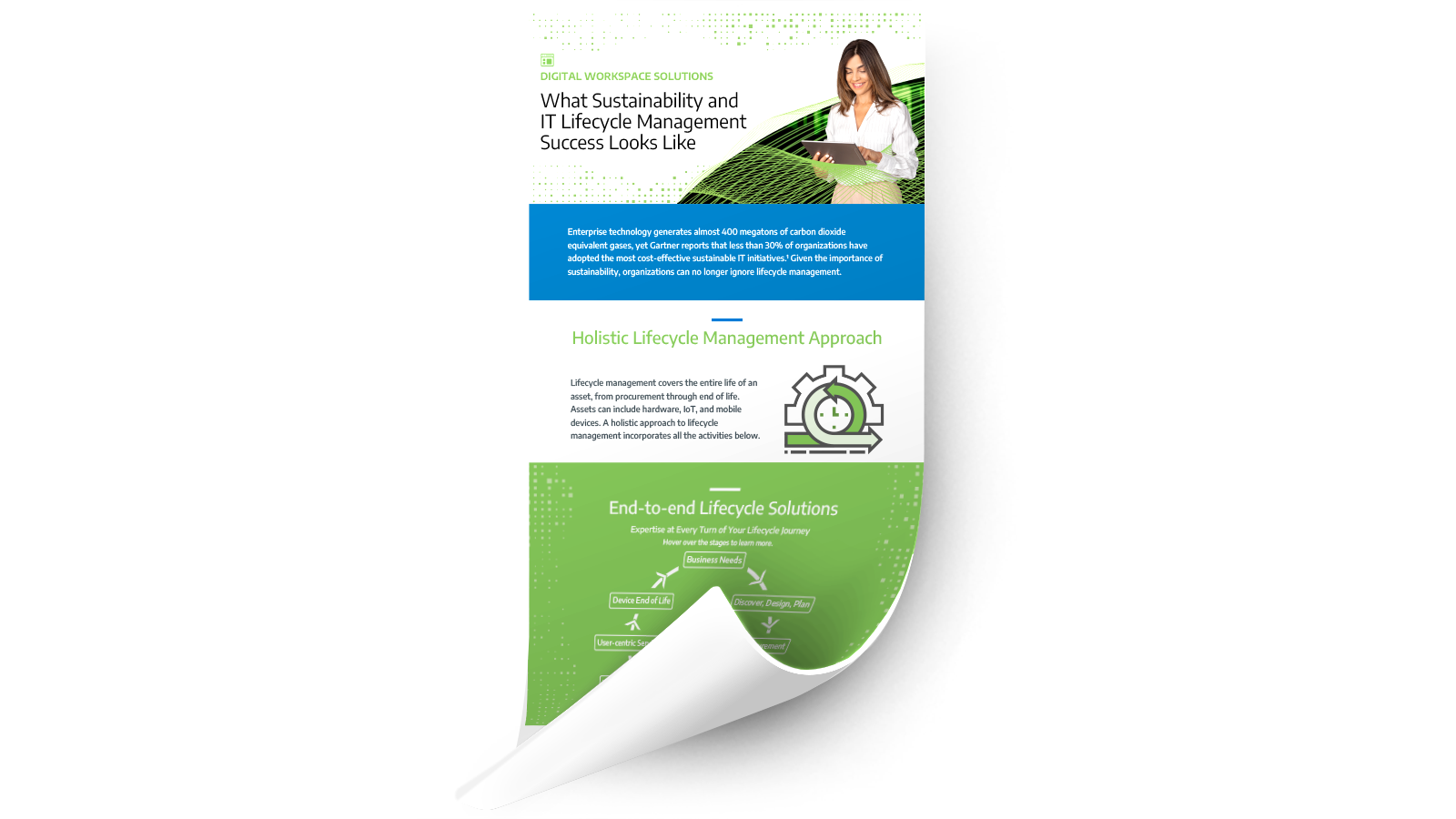 infographic - What Sustainability and IT Lifecycle Management Success Looks Like