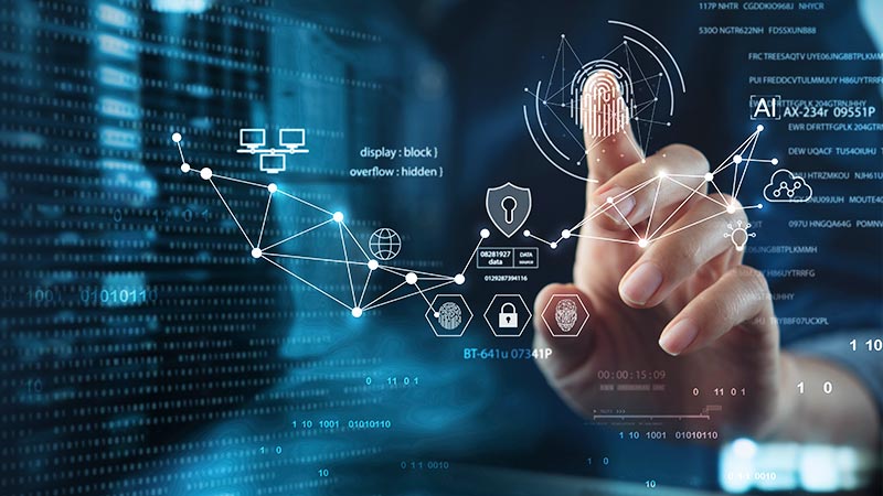 Network Management and Optimization